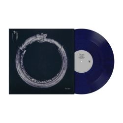 The Spin