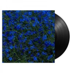 Gift Songs