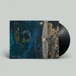 Healing is a Miracle