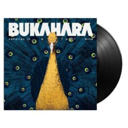 Canaries in a Coal Mine