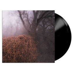 Nincs Szennyezetlen Szép