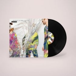 Snapshot of Pure Attention