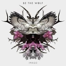 Imago