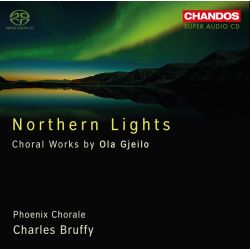 Northern lights