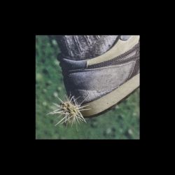 Tread