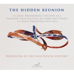 The Hidden Reunion