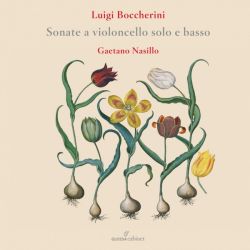Sonate a Violoncello Solo e Basso