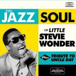 The Jazz Soul of little Stevie - Tribute to Uncle Ray