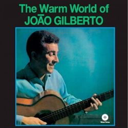 The Warm World