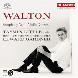 Symphony No. 1, Violin Concerto